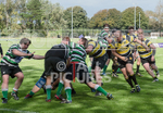 St Jacques v Tottonians-38