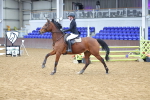 SBM_009262