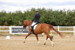 SBM_006520