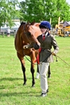 SBM_01056