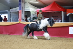 SBM_06371