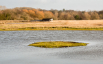 Burton Mere 3