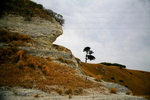 KAIKURA BEACH