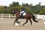 SBM_022001