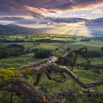 The Fallen. Hope Valley Sunrise.