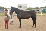 SBM_07872