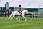 SBM_03722