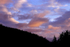 Big Basin State Park, CA