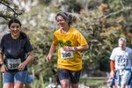 Dovedale Dash-2075