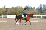 SBM_002331