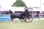 SBM_05799