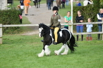 SBM_51866