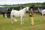 SBM_04244