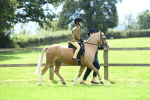 SBM_41197