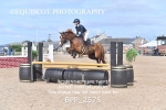 BPP_2575