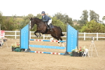 SBM_008729