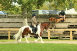SBM_68188