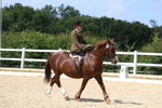 3E7A3926