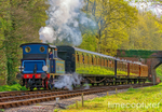 Bluebell