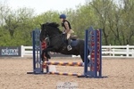 Axe Vale PC Showjumping Sunday 3rd - Click to Enter portfolio