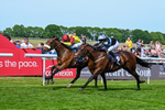 300526-Race 3-Matteo-5480