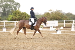 SBM_004648