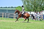 SBM_18154