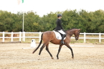 SBM_001416