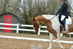 Cls 5 Novice 28 portfolio