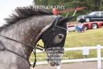 BPP_0596
