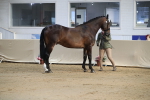 SBM_00535