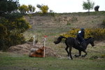 WJ6_0809