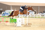 SBM_010416