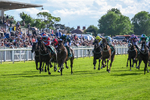 310526-Race 5-Fandom-9074