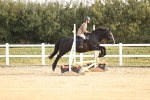 SBM_000247