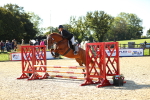 SBM_16658