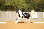 SBM_16579