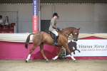 SBM_02020