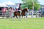 SBM_15291