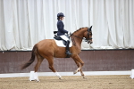 SBM_002931