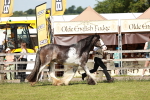 SBM_08751