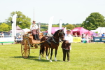 SBM_06667
