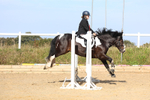 Pendarves Summer Series Showjumping 24.08.2025 portfolio