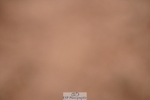 240505A-124938-05856