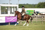 SBM_09583