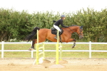 SBM_009945