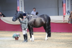 SBM_06552