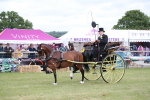 SBM_05806
