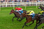 250726-Race 5-Rogue Jewel-1093