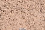 230520A-104129-00147